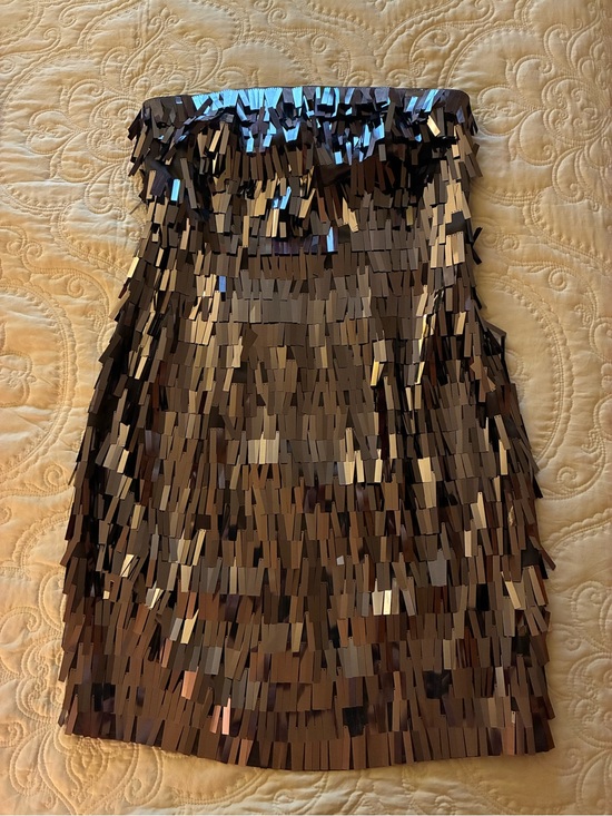 Express Dresses & Skirts - Brown Sz8 Express Sequin Fringe Strapless Party Dress